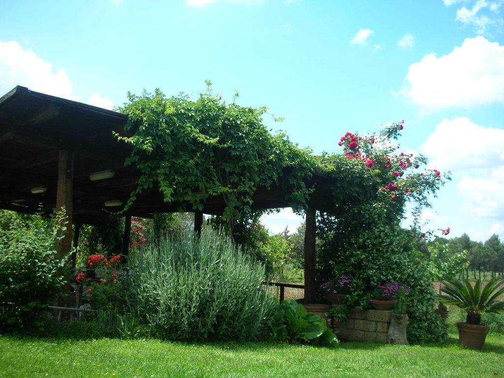 Podere Le Chiuse Sovana Ngoại thất bức ảnh