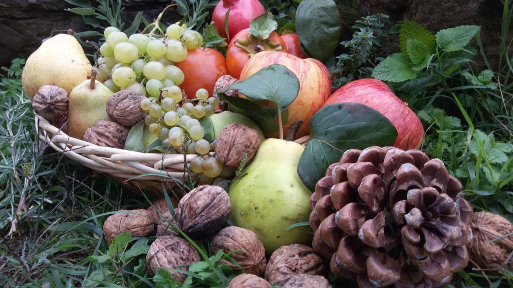 Podere Le Chiuse Sovana Ngoại thất bức ảnh