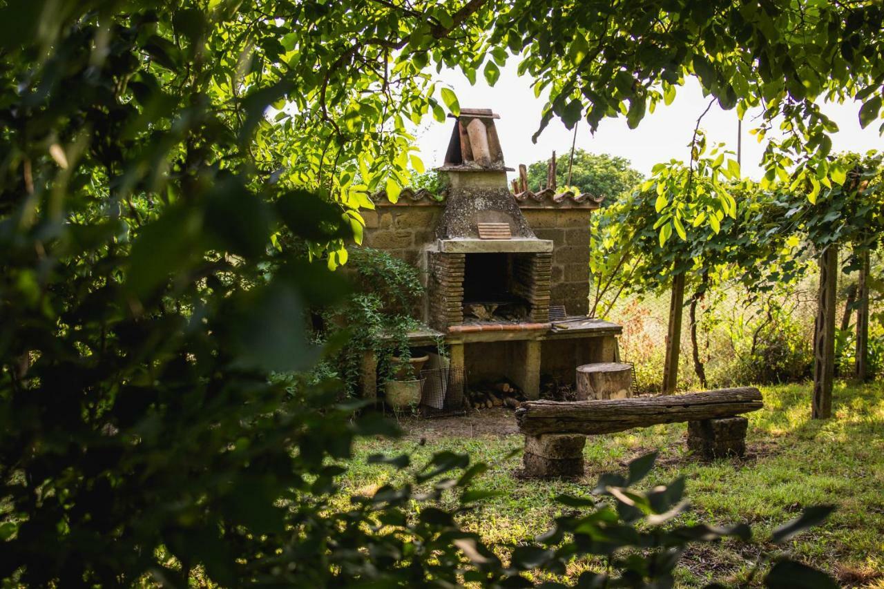 Podere Le Chiuse Sovana Ngoại thất bức ảnh