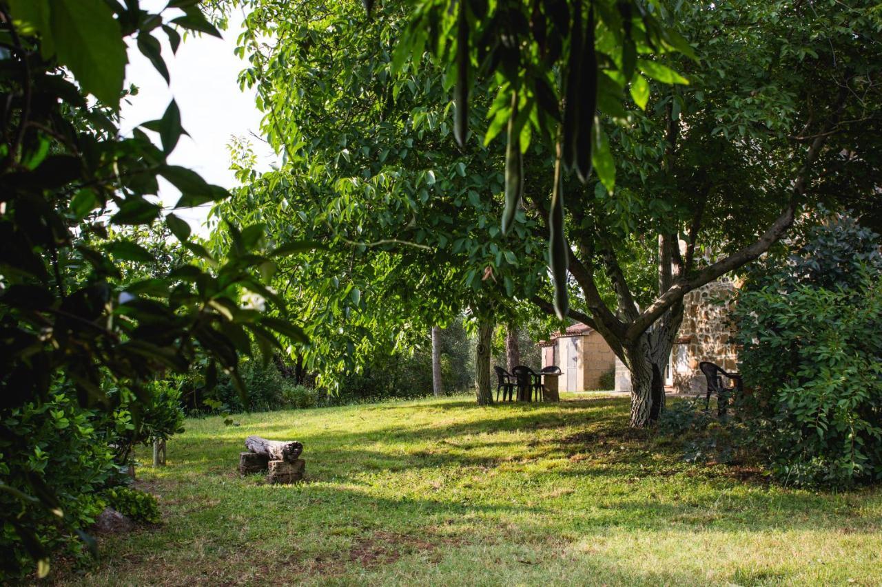Podere Le Chiuse Sovana Ngoại thất bức ảnh